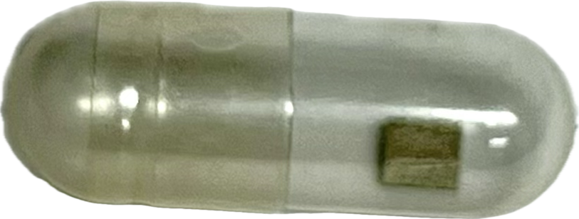 Dakota Glue On Single Contact Crystals