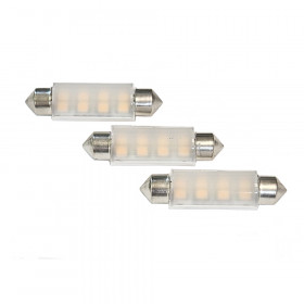 Parker Y35B LED Bulb
