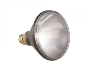 Gould-Bass UV 100W Spot Bulb with Medium Skirted Base
