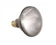 Gould-Bass UV 100W Spot Bulb with Medium Skirted Base
