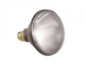 Gould-Bass UV 100W Spot Bulb with Medium Skirted Base