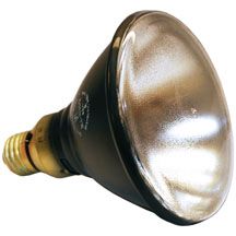 Spectroline Spot Lamp Assembly - no bulb 8ft Cord