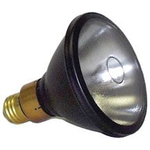 Spectroline Spot Bulb Ad-Medium Base 100 Watt