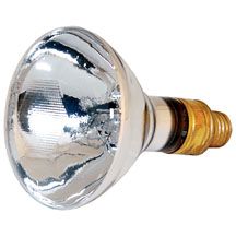 Spectroline Broad-Beam Bulb 150 Watt (120 Volts)