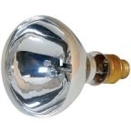 Spectroline Concentrated Spot Bulb