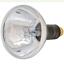Spectroline Fan Cooled Concentrated Spot Bulb 150 Watt