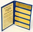 Magnetic Particle Field Flux Strips