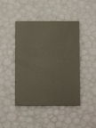 Sherwin Washability Test Panel